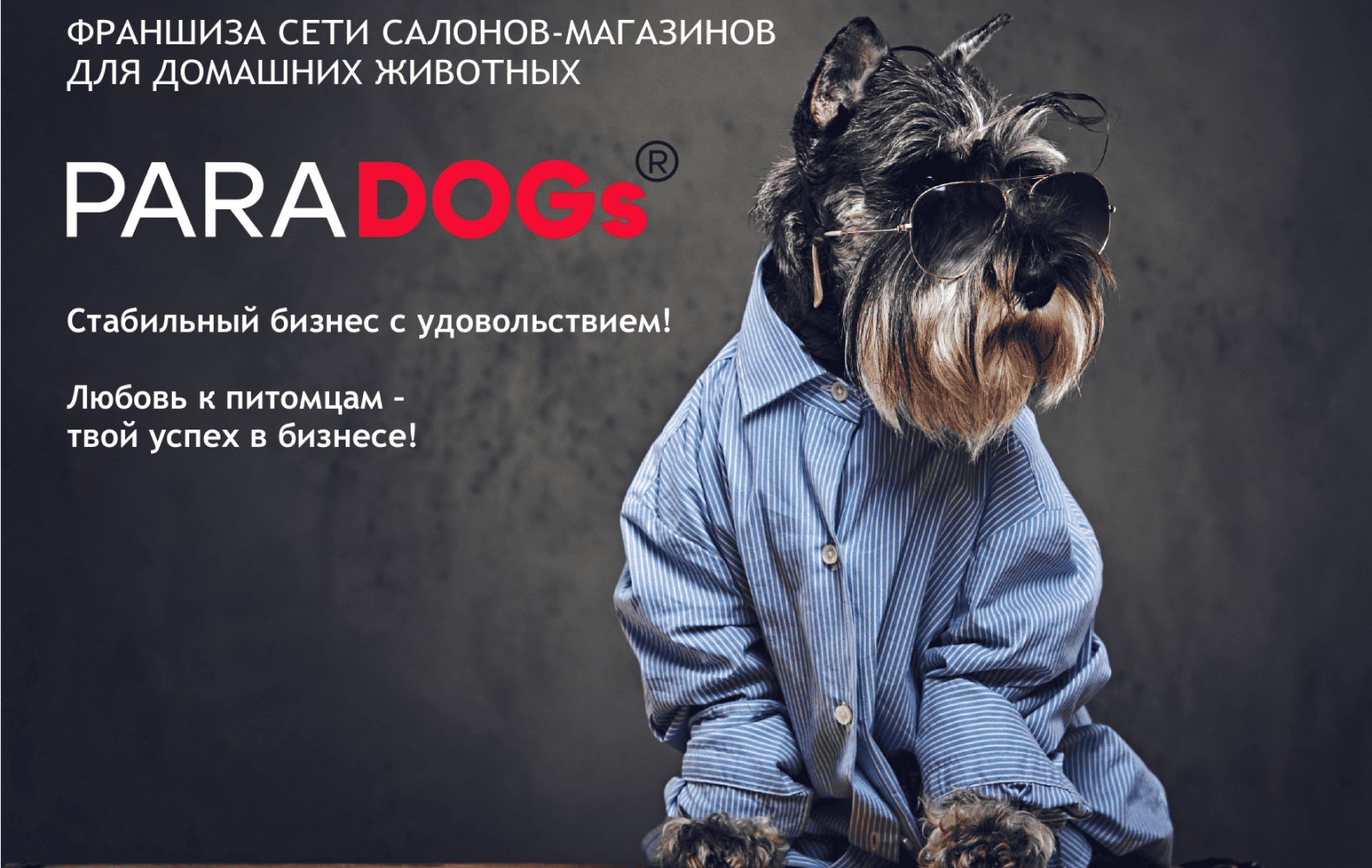 Превью PARADOGs