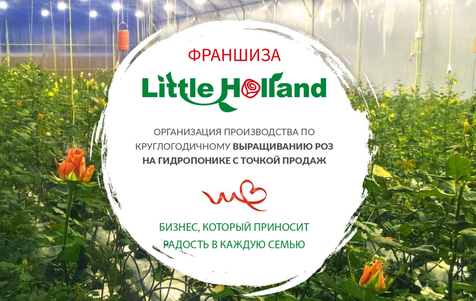 Превью Little Holland